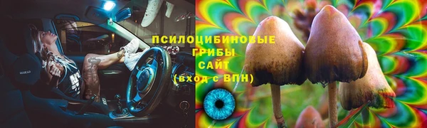 Альфа ПВП Нефтекумск