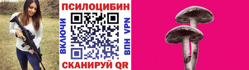 как найти   Южа  MEGA маркетплейс  Галлюциногенные грибы мицелий 