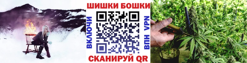 Бошки Шишки ГИДРОПОН  что такое   Южа 